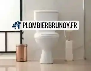 Remplacement de wc Brunoy