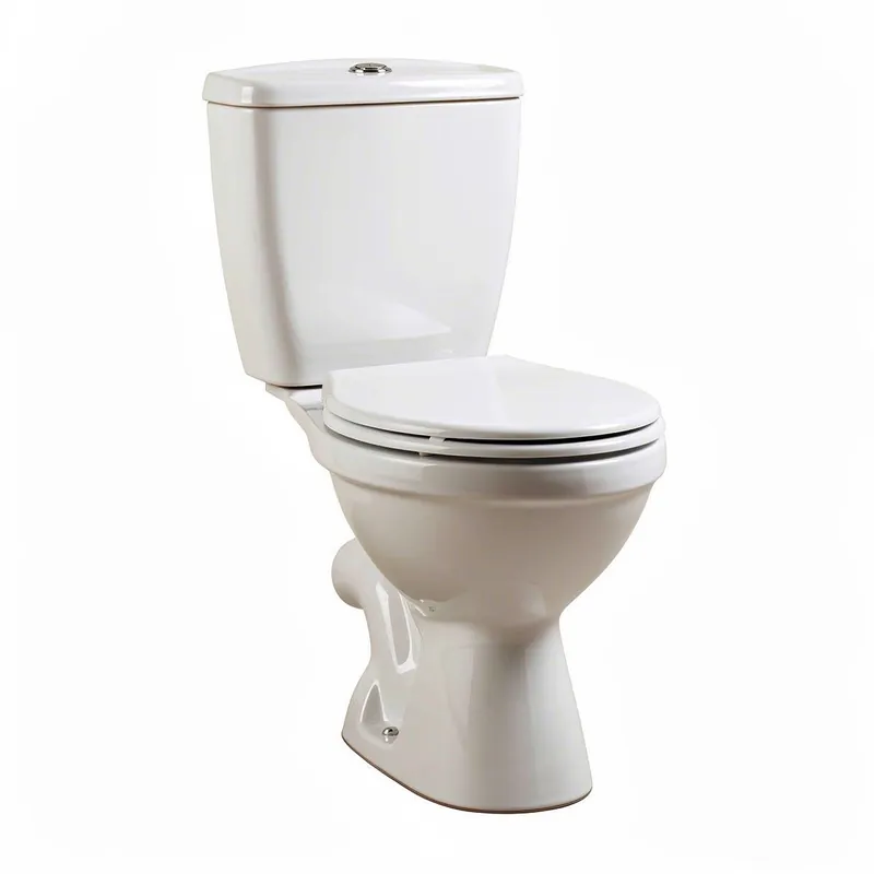 Remplacement de WC Brunoy