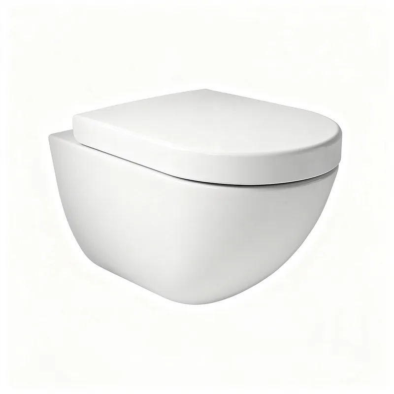 Pose WC Suspendu Brunoy